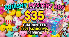 Tik Tok Craze Squishy Mystery Box
